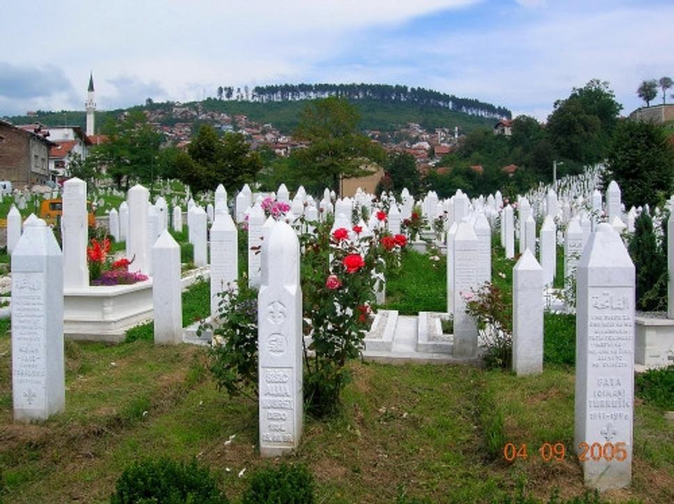 Obrázok blogu