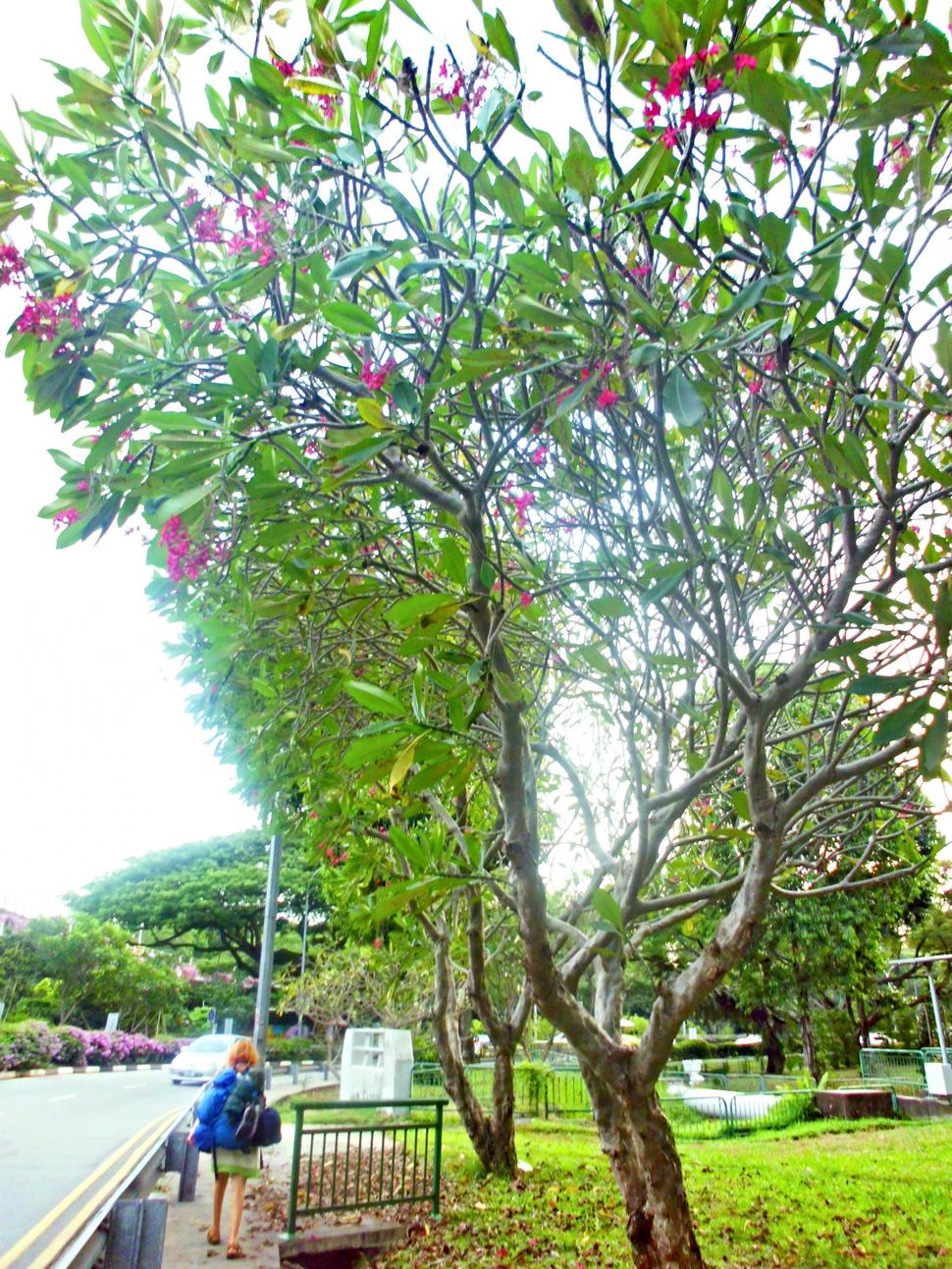 East Coast Park