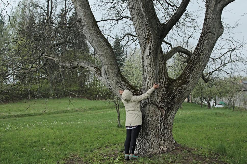 Keď niekoľko rokov "zabudnete vyrezať" pri dome orech. Takýto krásavec sme našli na Hriňovských lazoch pri jednom peknom domčeku.
