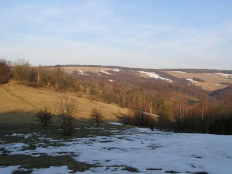 Obrázok blogu