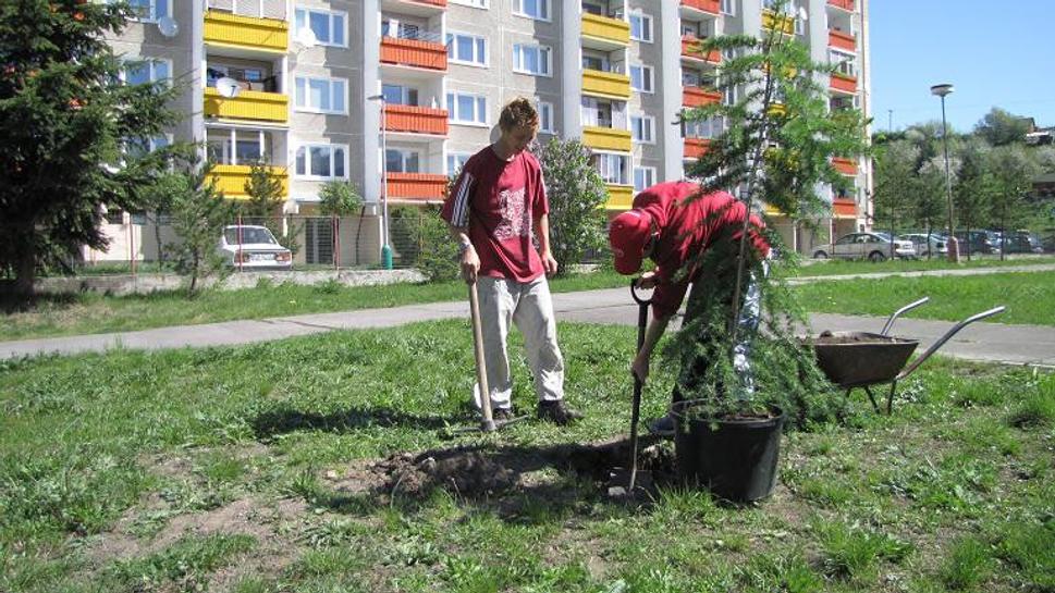 Obrázok blogu