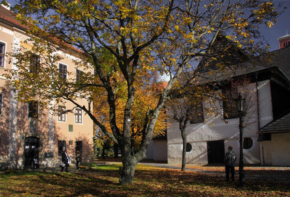 Obrázok blogu