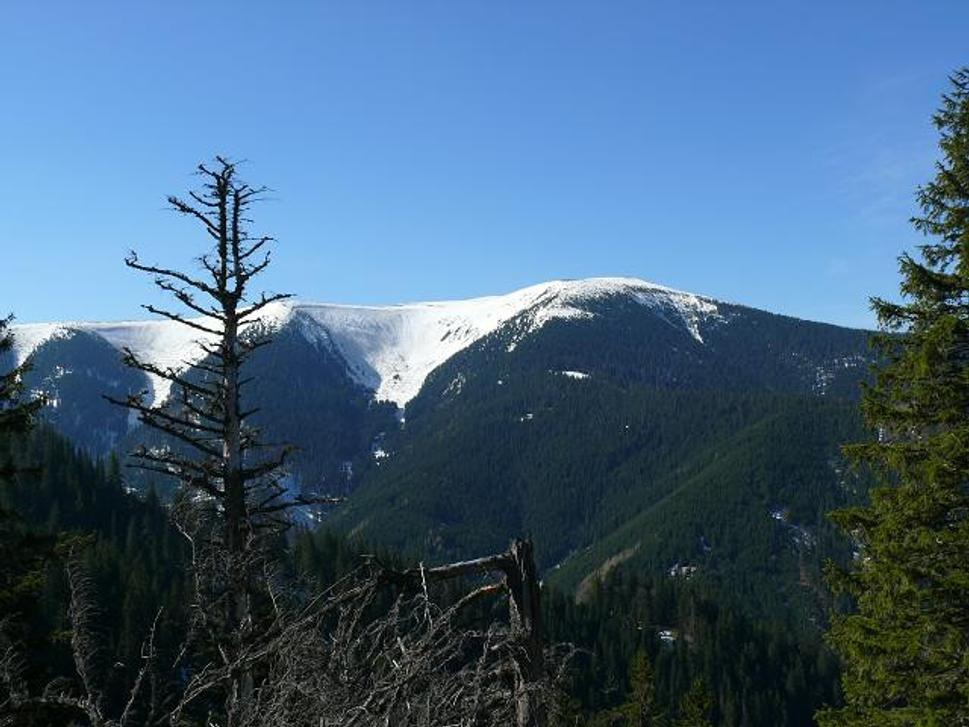 Veľký bok