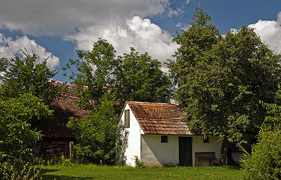 Obrázok blogu