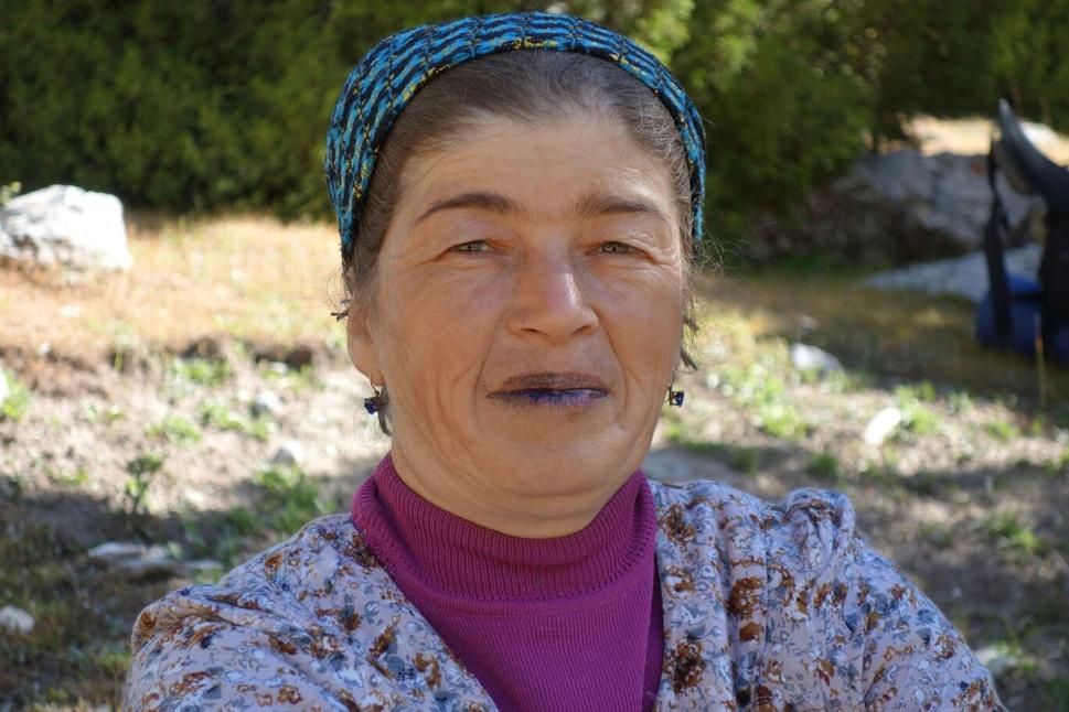 Pastierka