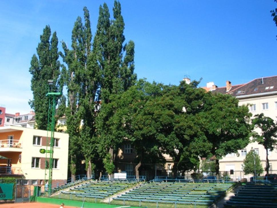 Obrázok blogu