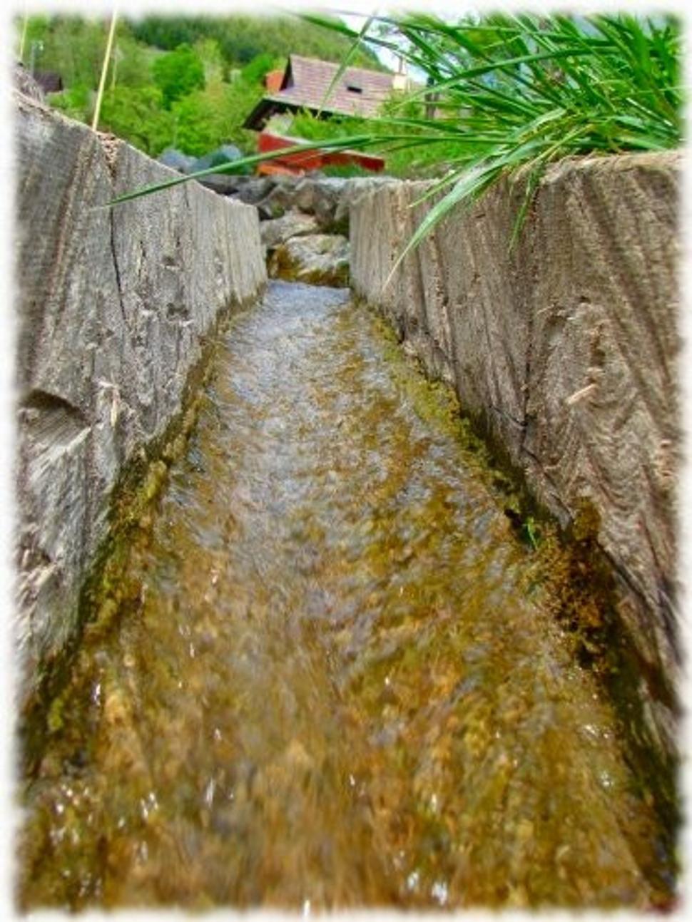 Obrázok blogu