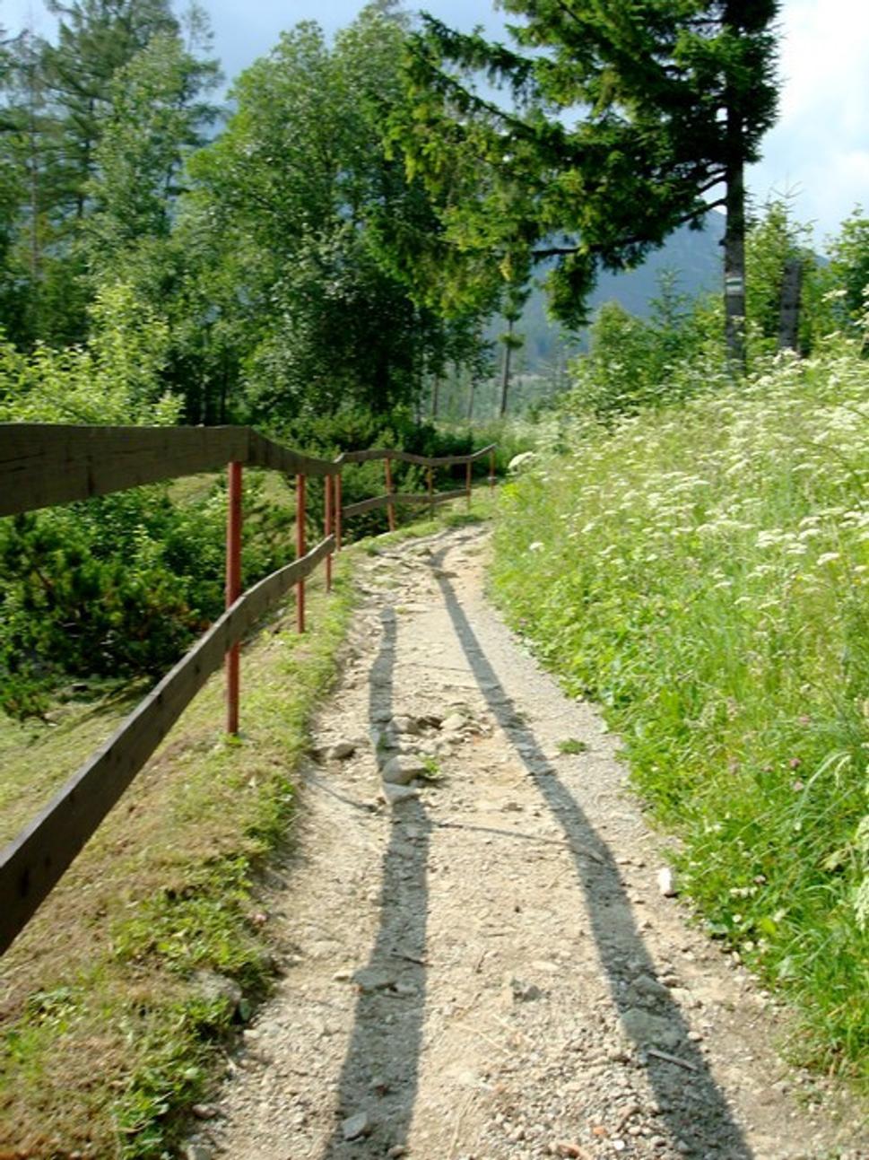 Obrázok blogu