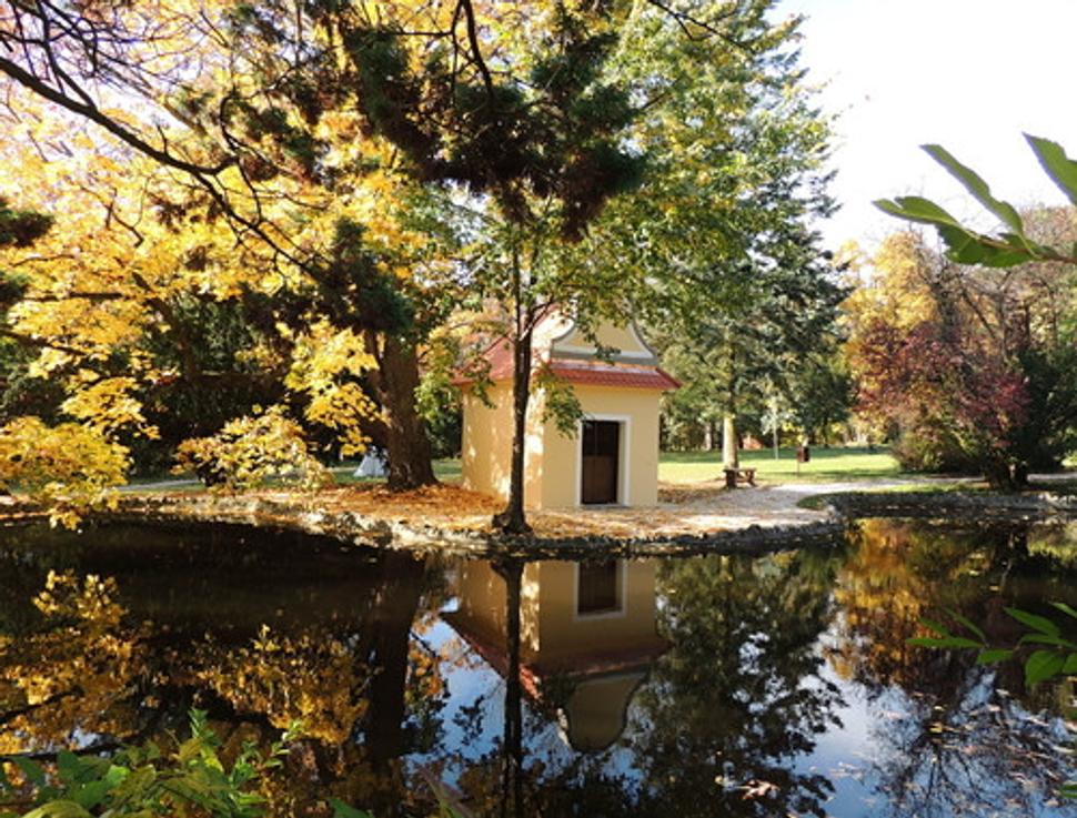 Obrázok blogu