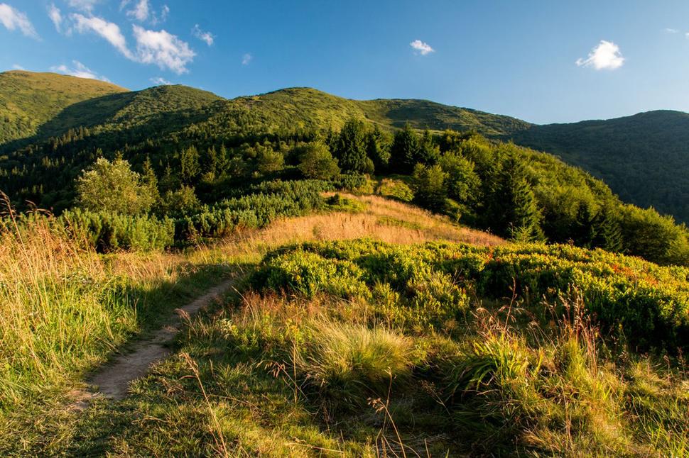 Smerom na Chrapáky od Sedla za Kraviarskym