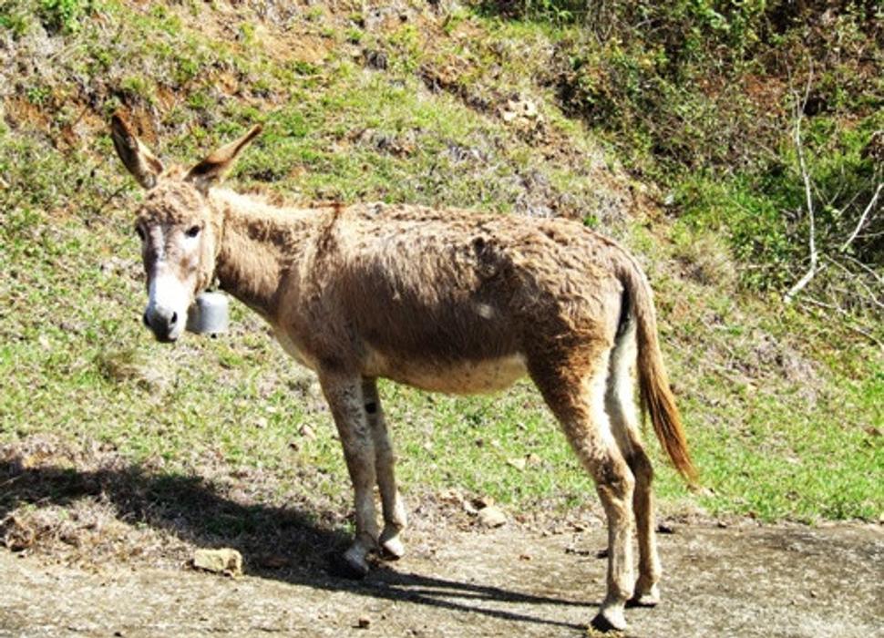 Obrázok blogu