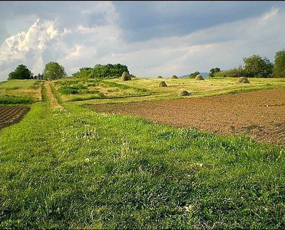 Obrázok blogu