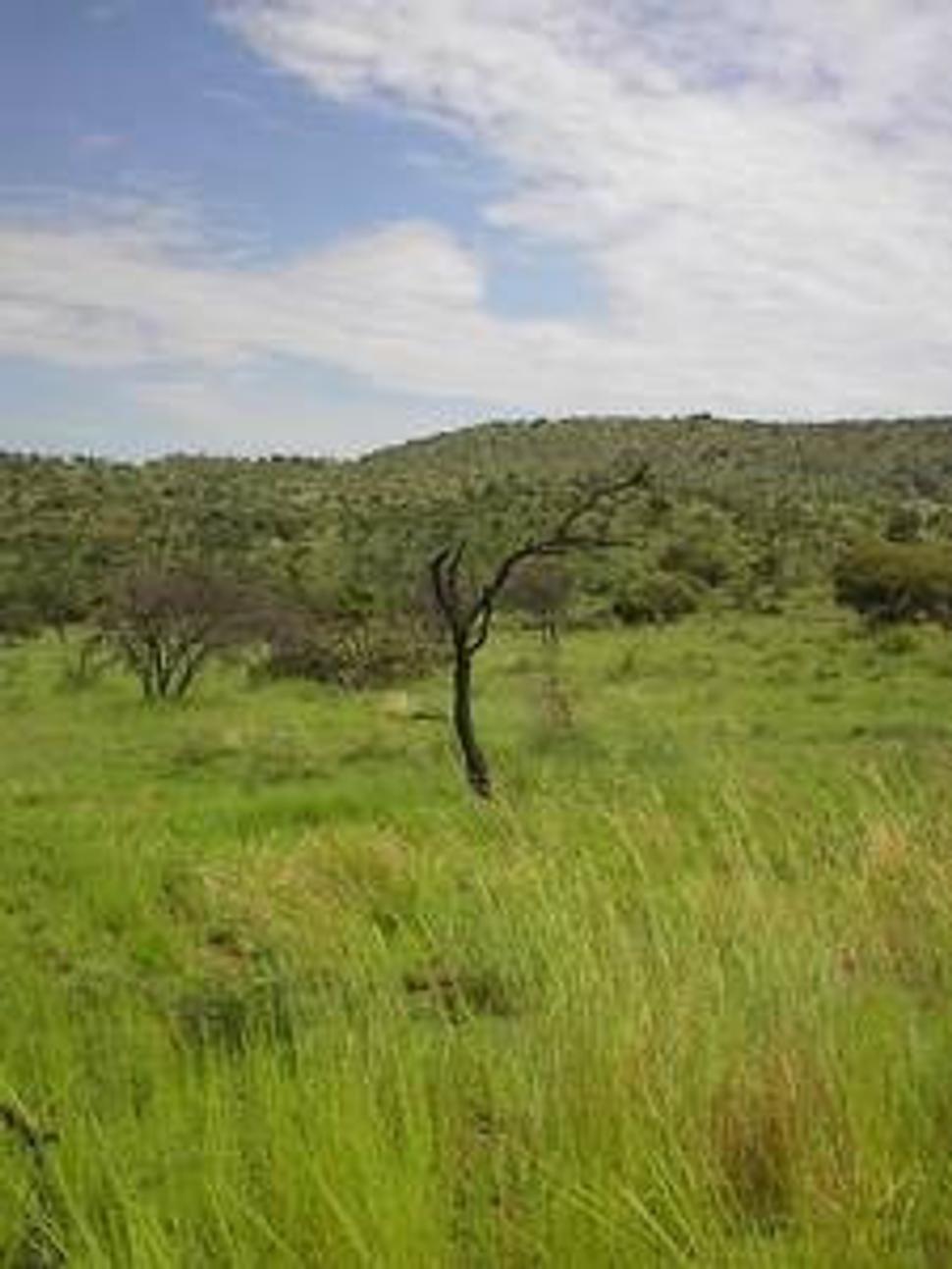 Gauteng, dec 2004
