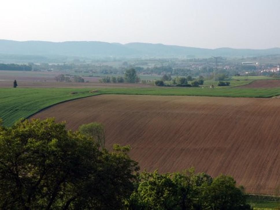 Obrázok blogu