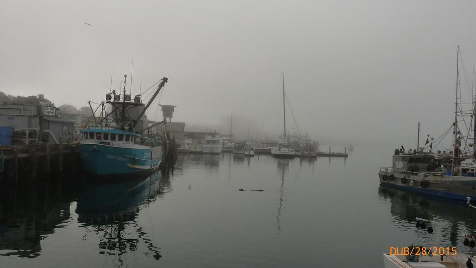 Ranná hmla v Moro Bay