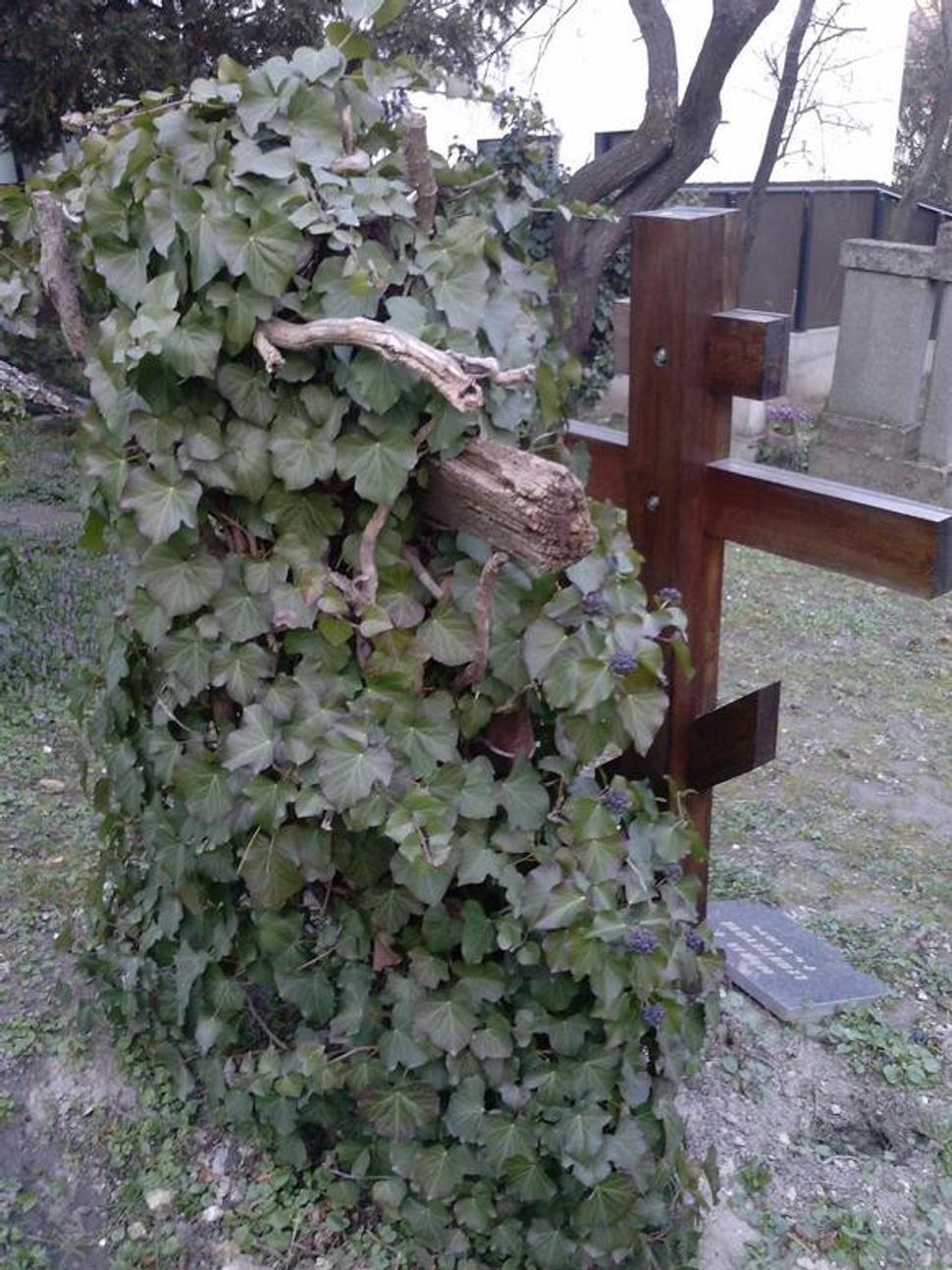Obrázok blogu