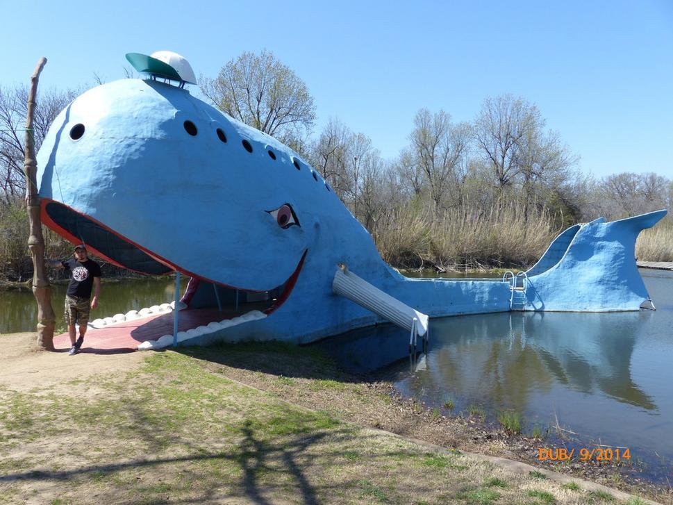 Modrá veľryba, Catoosa, OK