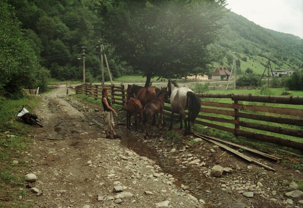 Obrázok blogu