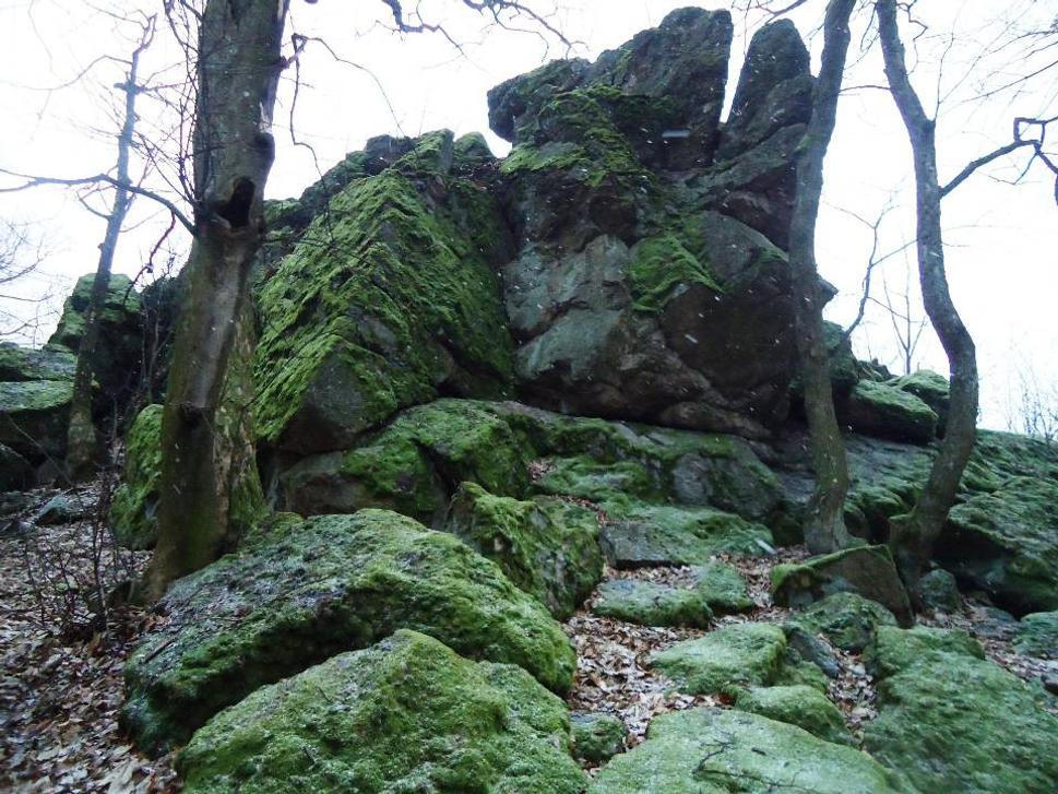 Obrázok blogu