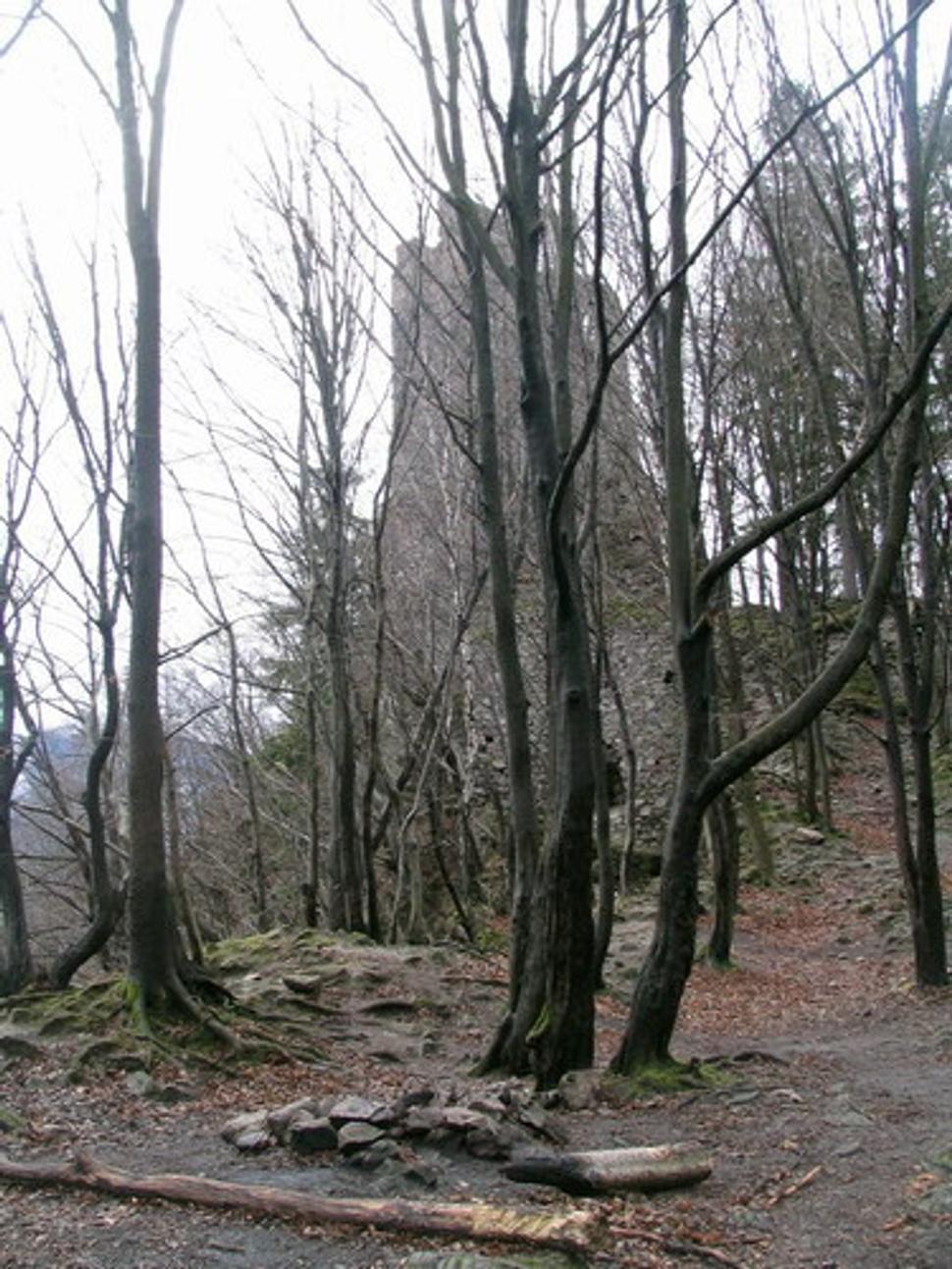 Obrázok blogu