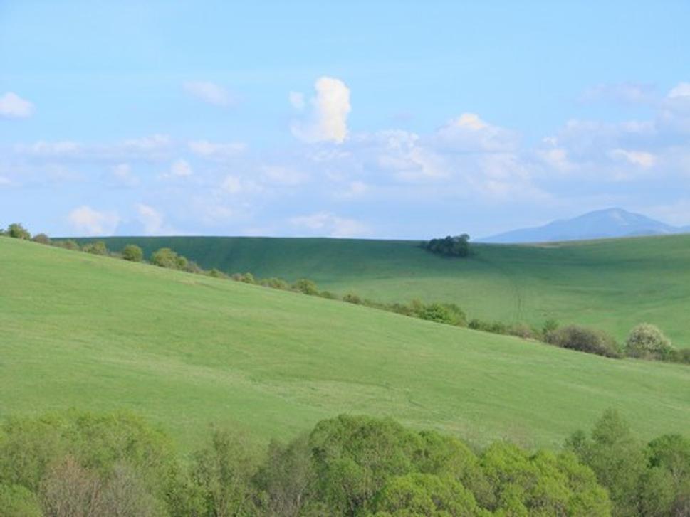 Obrázok blogu