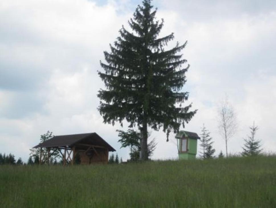 Obrázok blogu