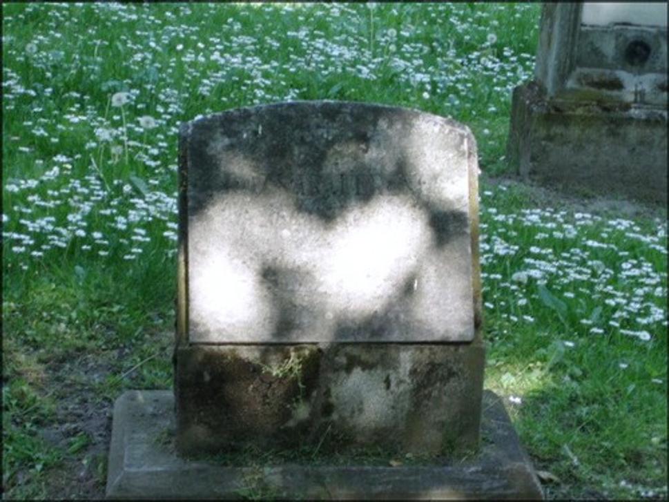 Obrázok blogu