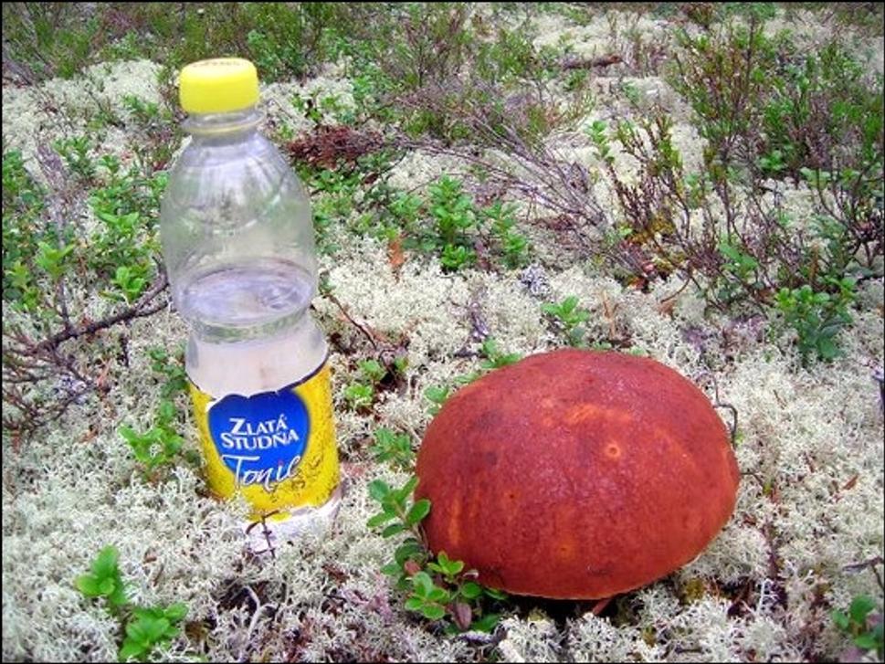 Obrázok blogu