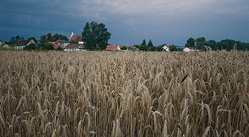 Obrázok blogu
