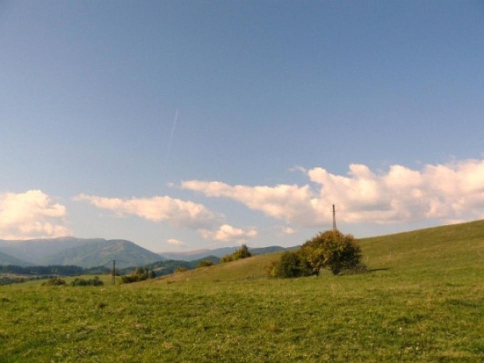 Obrázok blogu