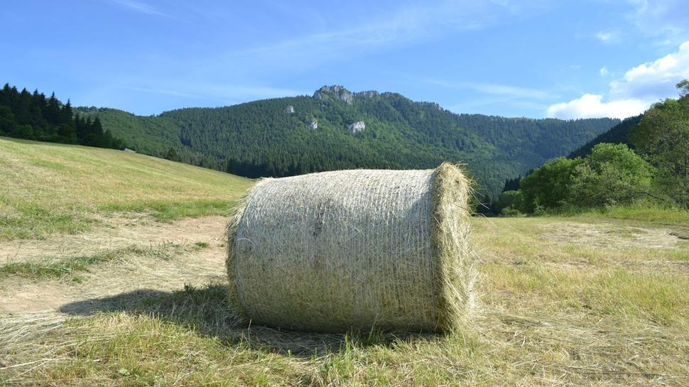Lúky pod Červenou Magurou
