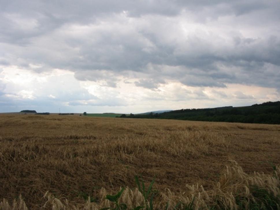 Obrázok blogu