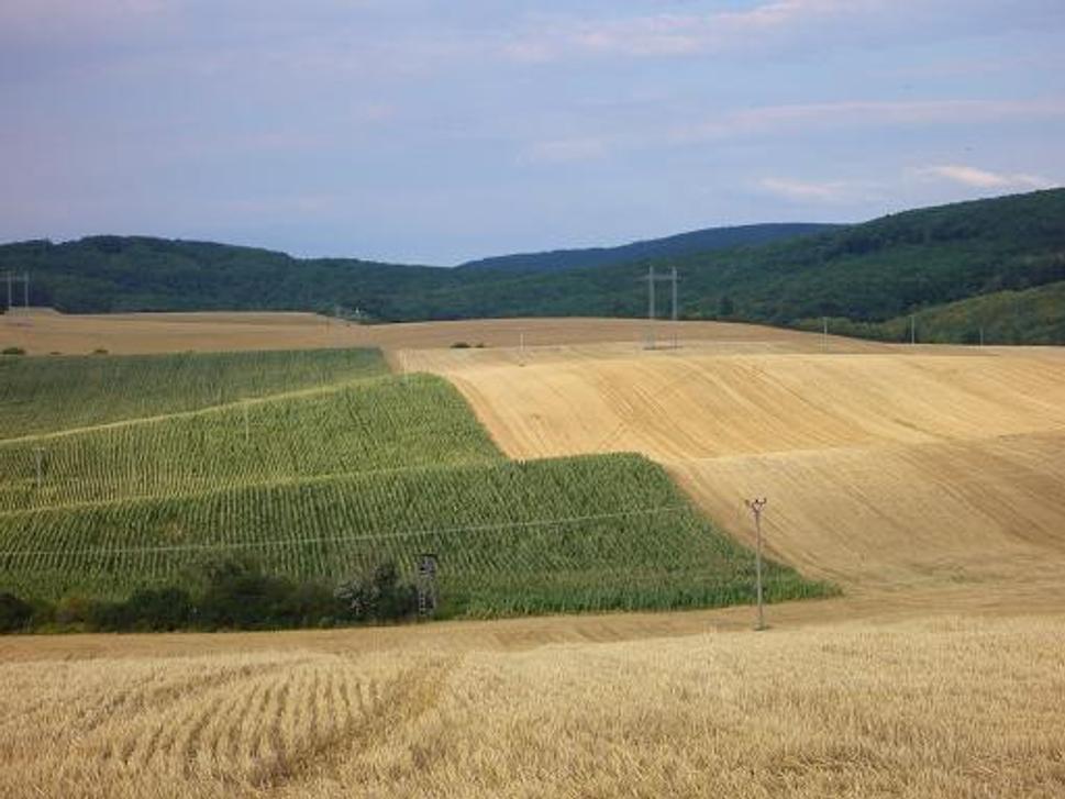Obrázok blogu