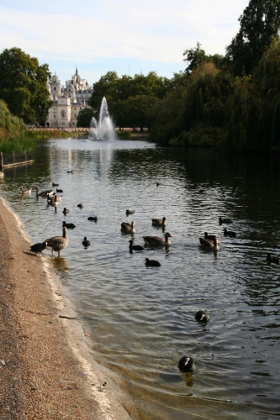 St. James's Park
