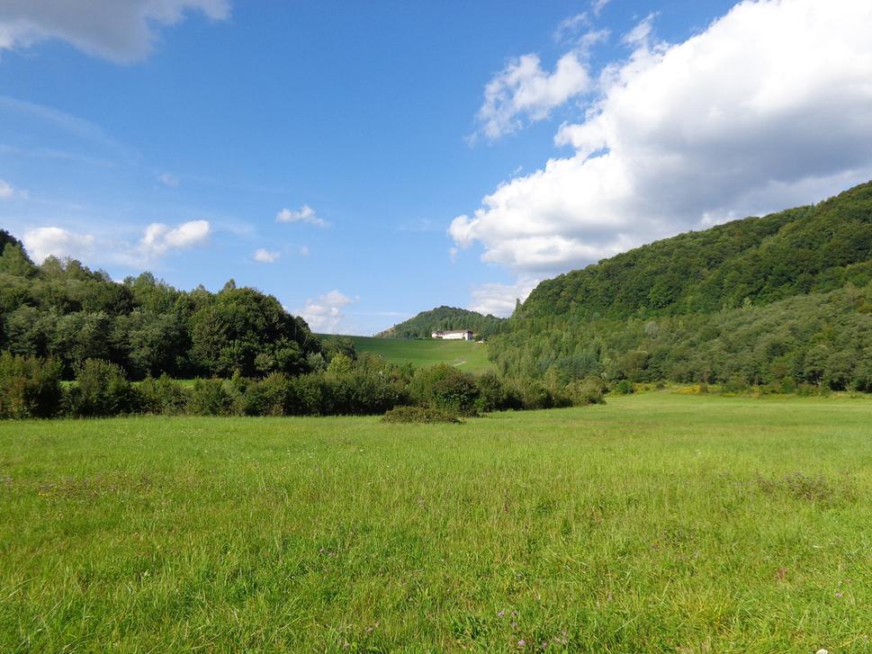 Starina v diaľke, cesta nás čakala cez kriaky