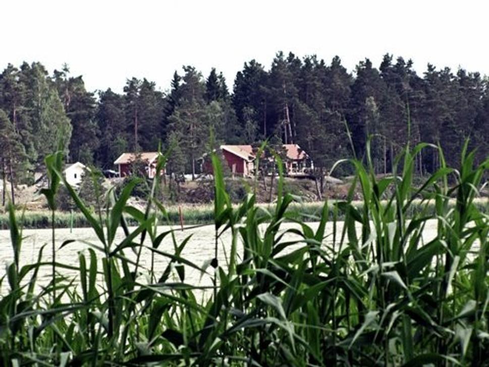 Obrázok blogu