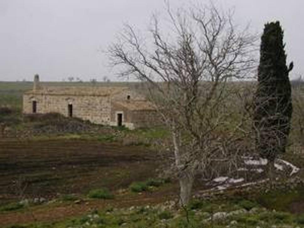 Murgia