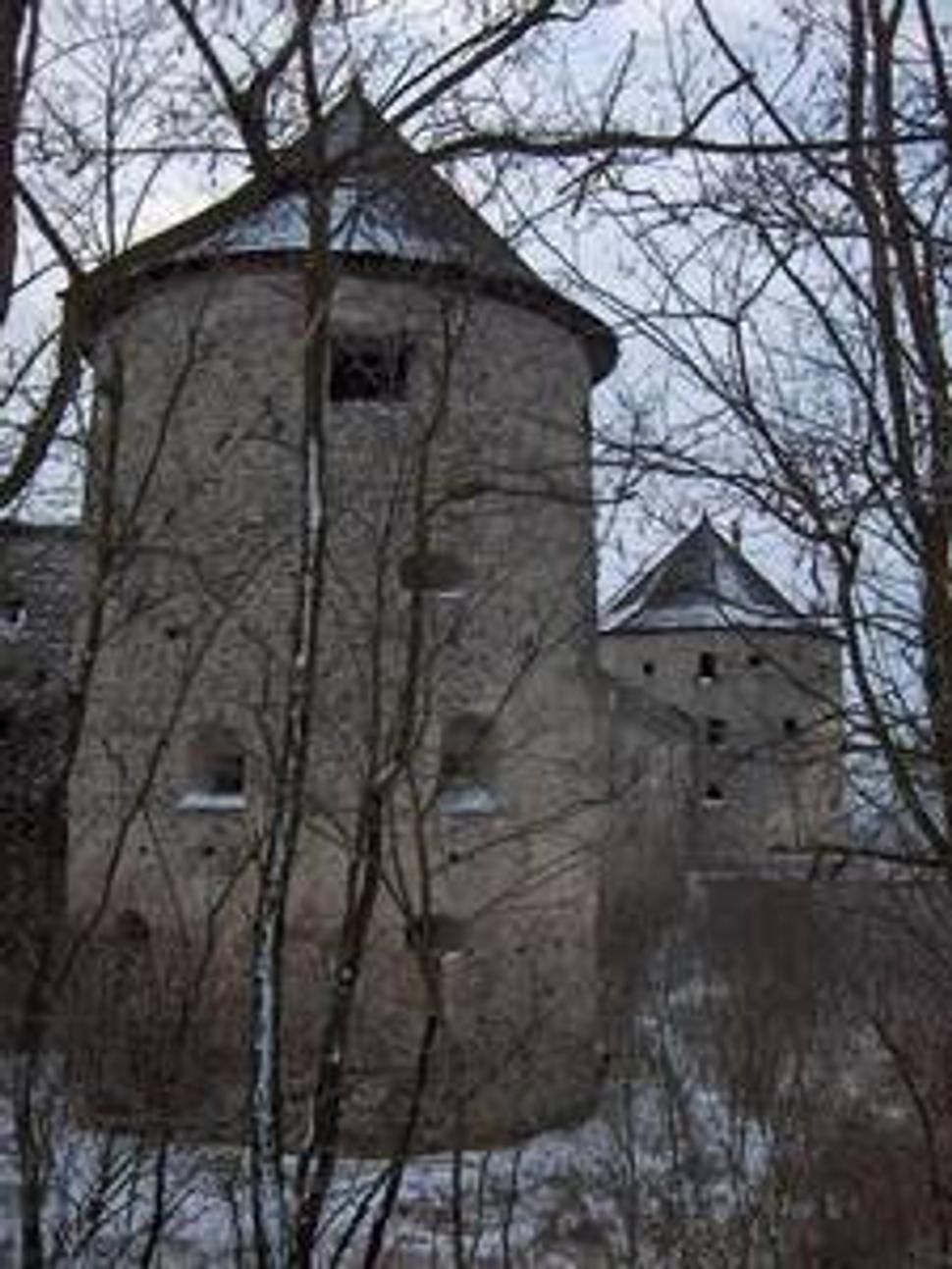 Bzovík