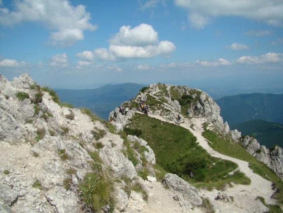 Obrázok blogu