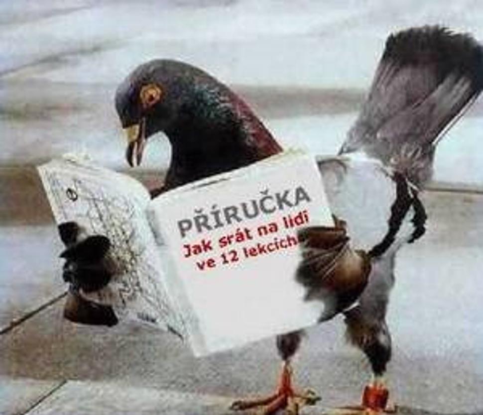 Obrázok blogu