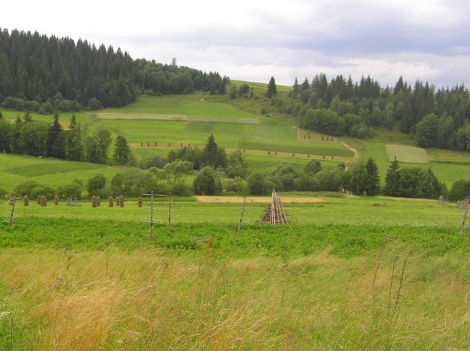 Obrázok blogu