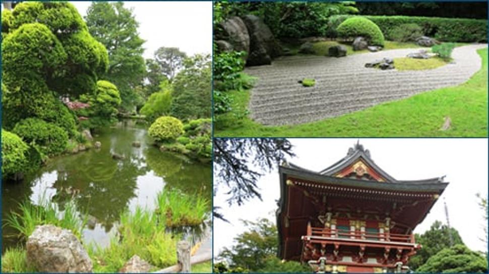 Japanese tea garden