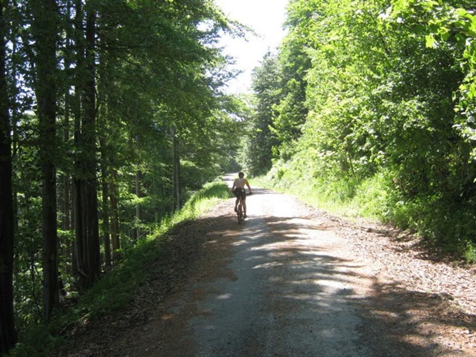Obrázok blogu