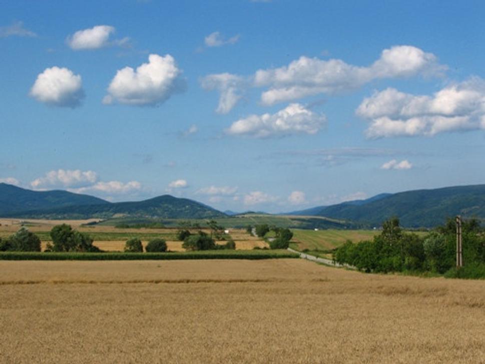 Obrázok blogu