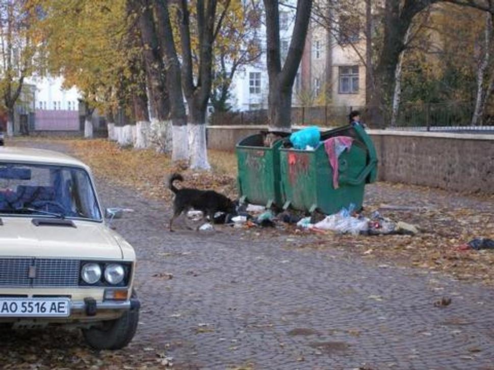 Obrázok blogu
