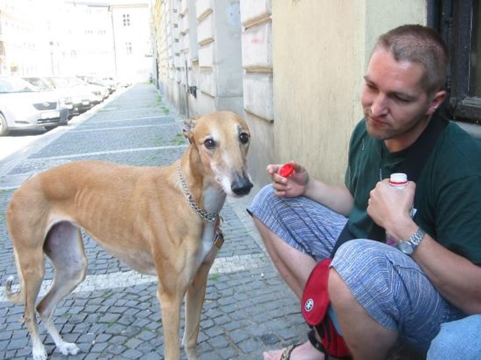 Obrázok blogu