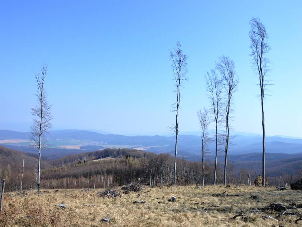 výhľady trasou