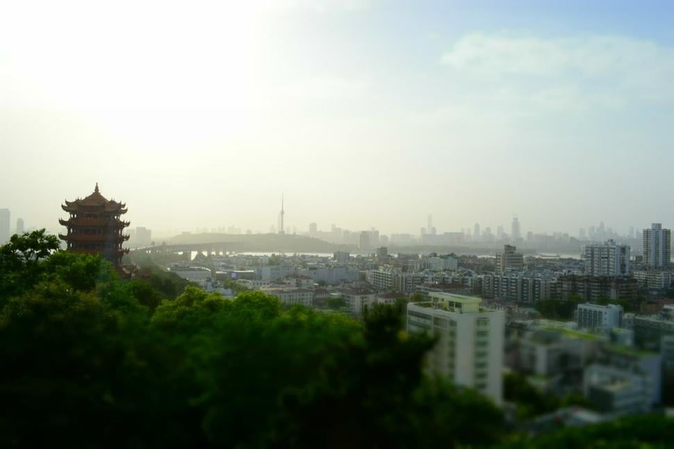 nice view