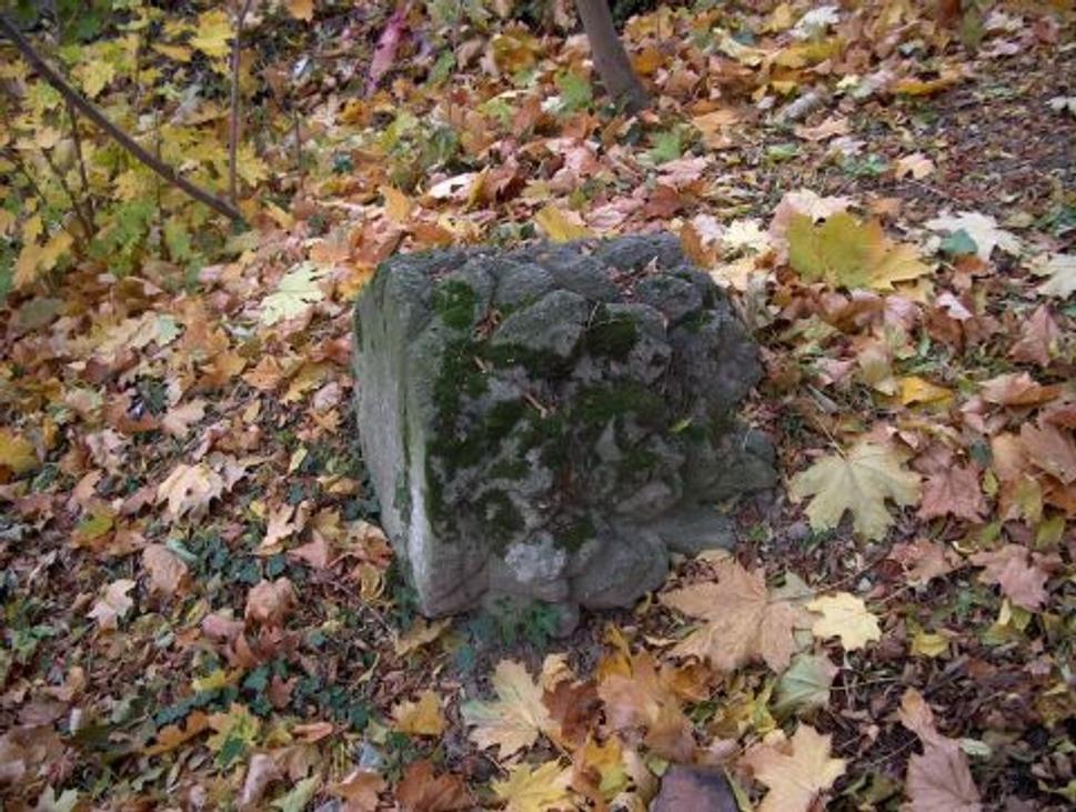 Obrázok blogu