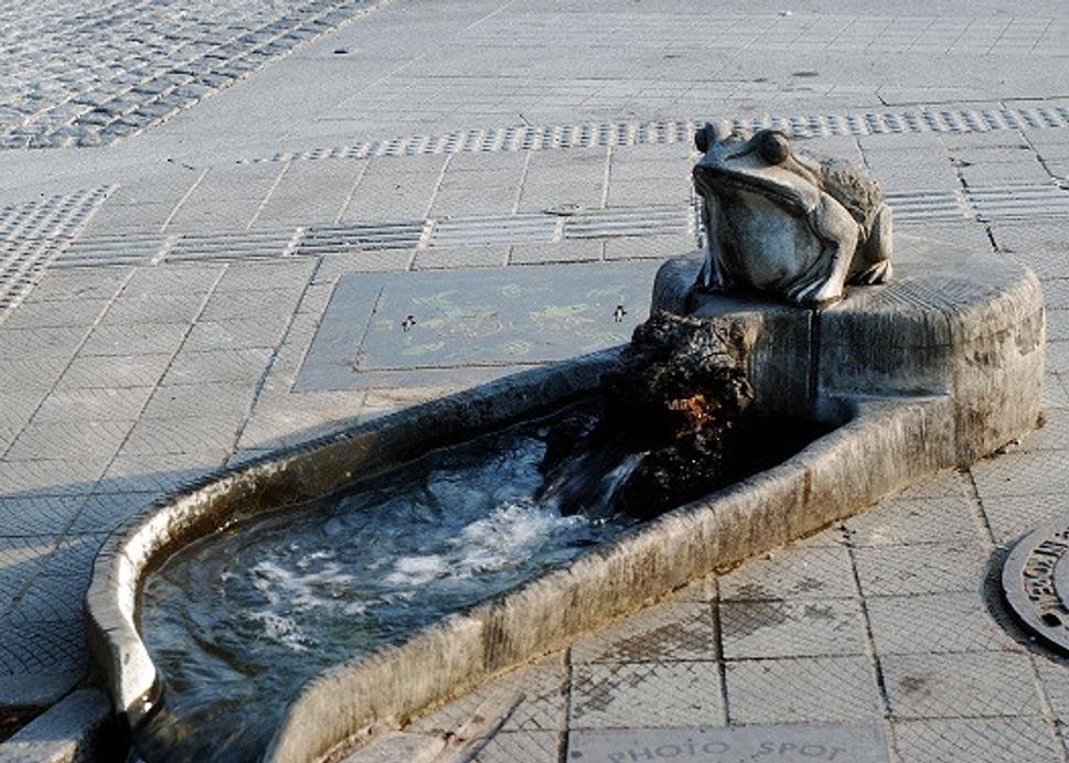 Obrázok blogu
